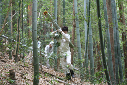 �O�������蓛�ۑ���A�|��